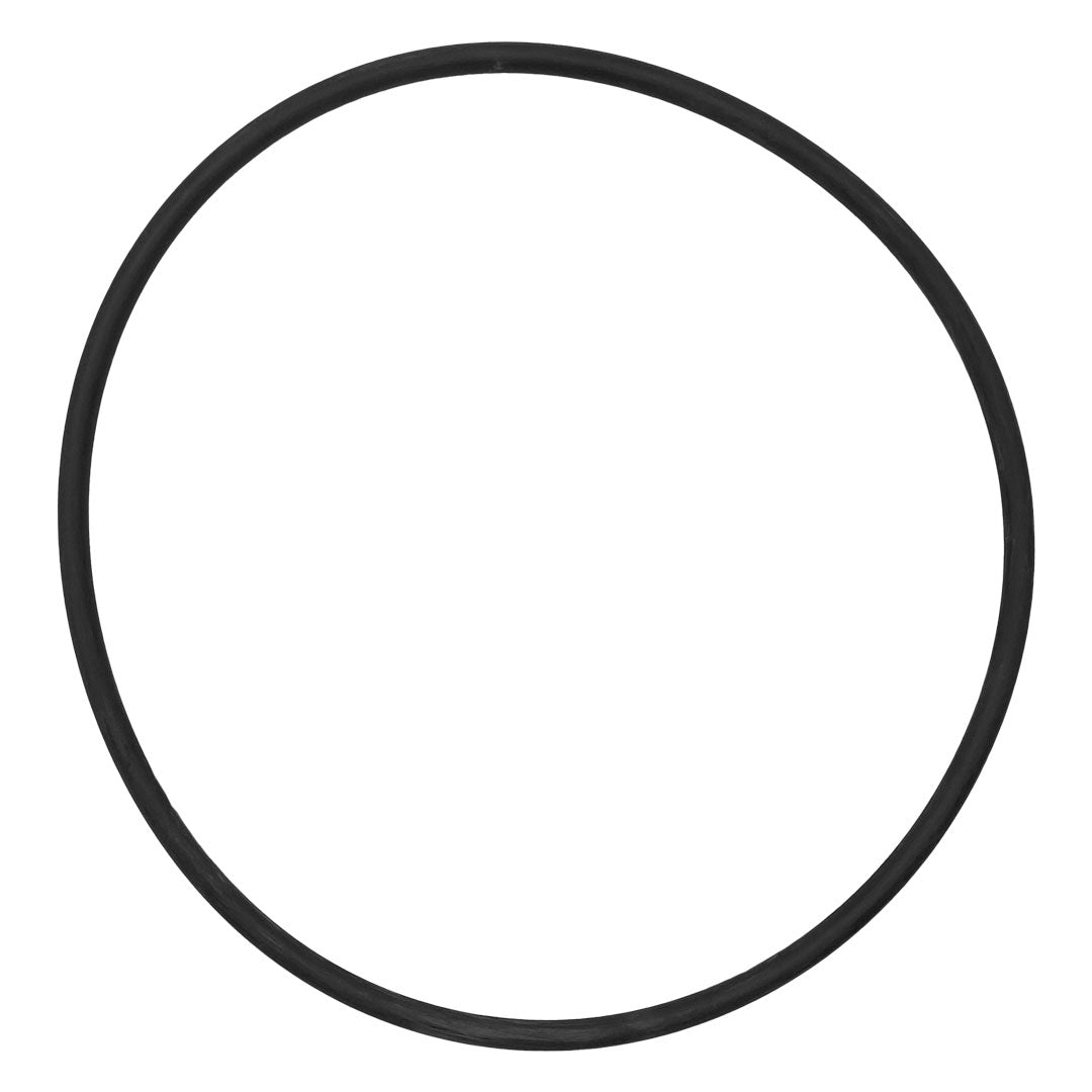 IntelliFloXF/WhisperFloXF VSF/VS Pump Seal Plate O-Ring || 351446