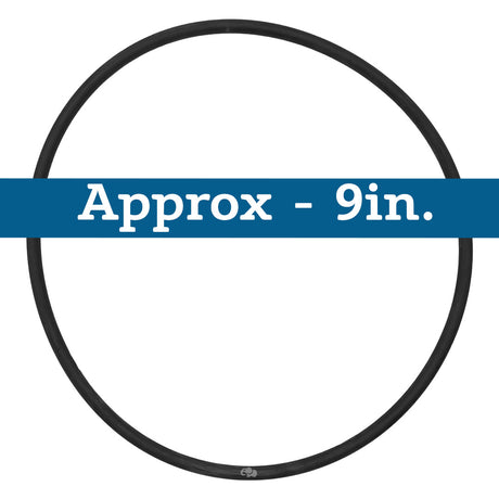 IntelliFloXF/WhisperFloXF VSF/VS Pump Seal Plate O-Ring || 351446