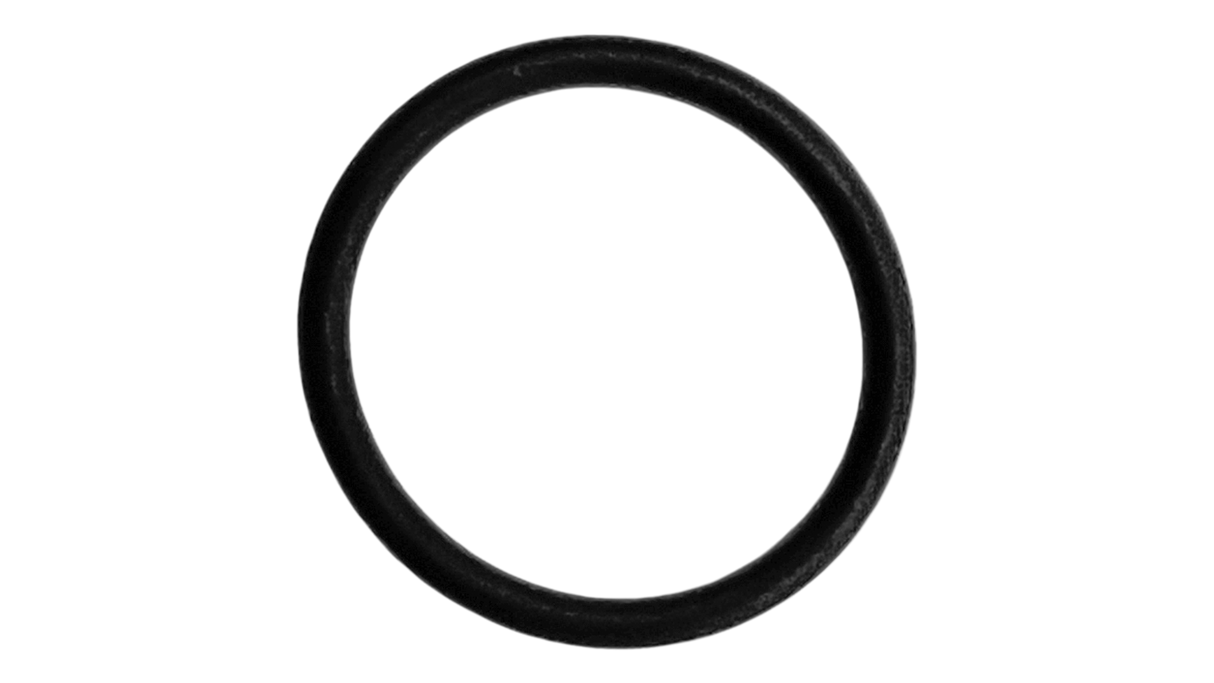 O-605-Bagged Gasket - Aladdin