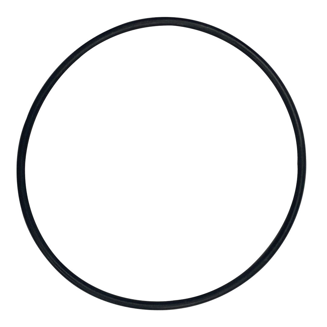 Rainbow (37121) O-Ring for Plate-Concorde | O-613-BAGGED