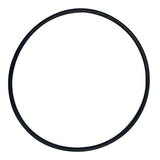 Rainbow (37121) O-Ring for Plate-Concorde | O-613-BAGGED