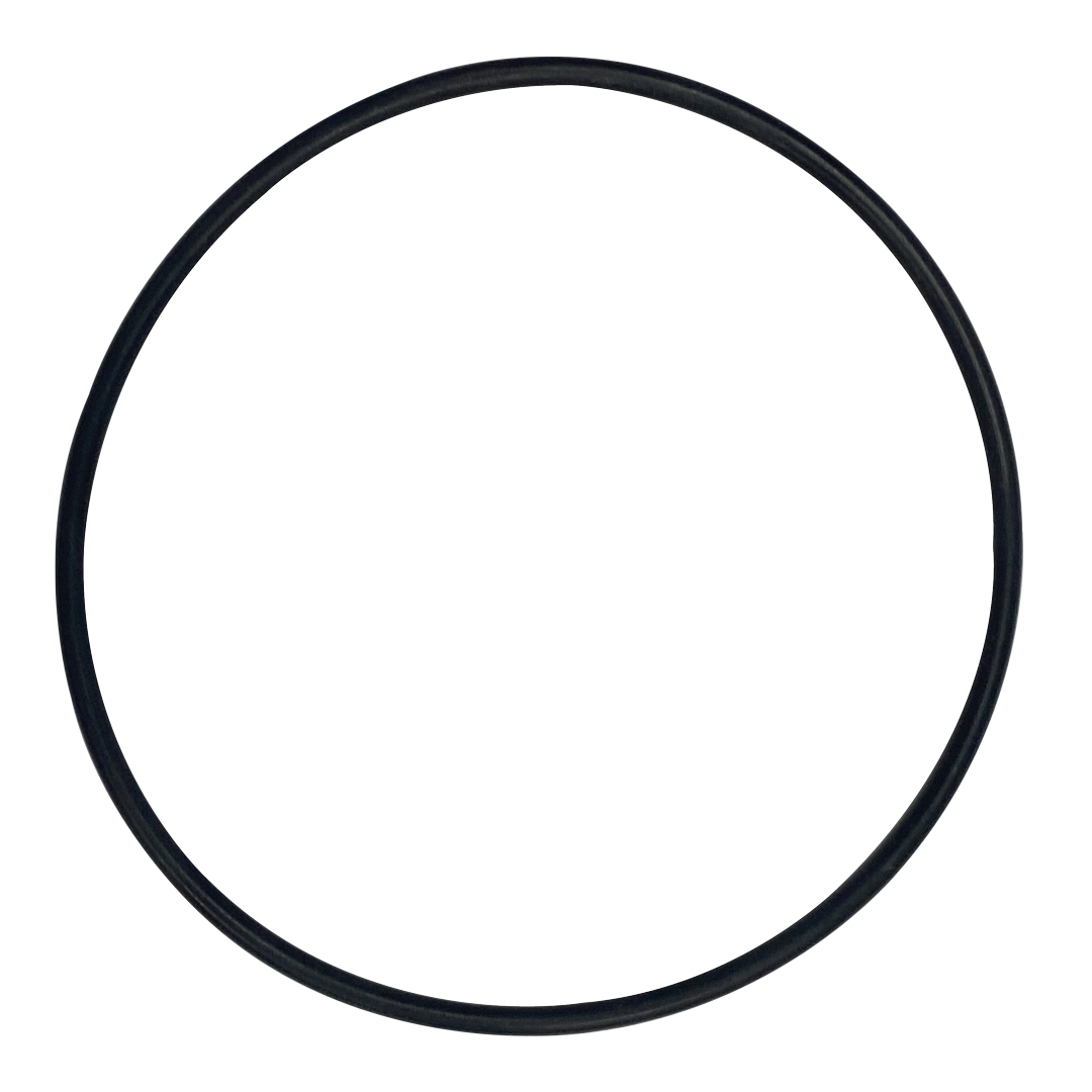 Rainbow (37121) O-Ring for Plate-Concorde | O-613-BAGGED