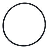 Rainbow (37121) O-Ring for Plate-Concorde | O-613-BAGGED