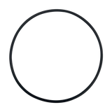 Rainbow (37009) Concorde Housing O-Ring || O-615-BAGGED