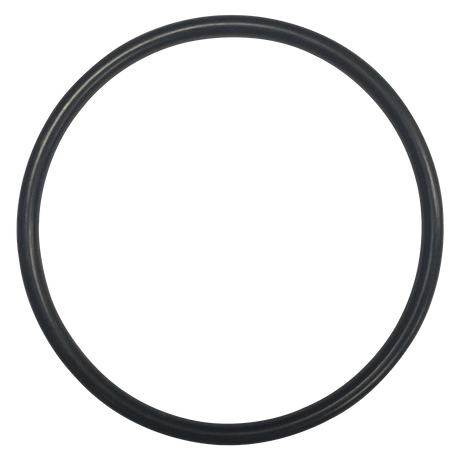 Black rubber O-ring seal for backwash valve sight glass
