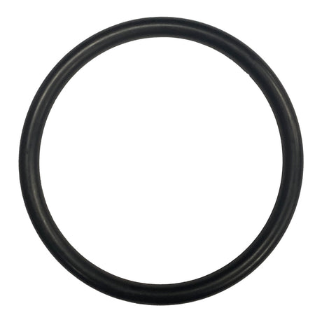 Black rubber O-ring seal for Hayward MaxFlo VS pump diffuser