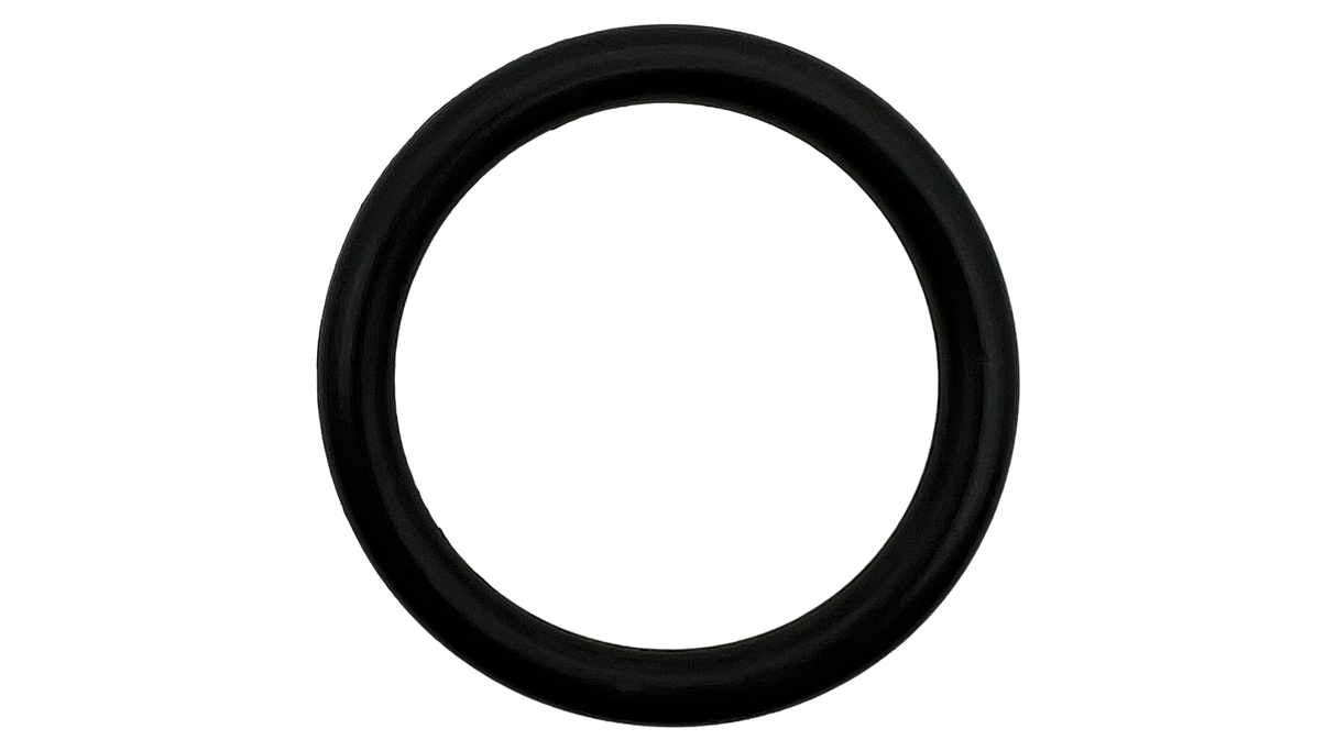 Advance (0V-11-325) Chlorinator O-Ring || O-71-BAGGED