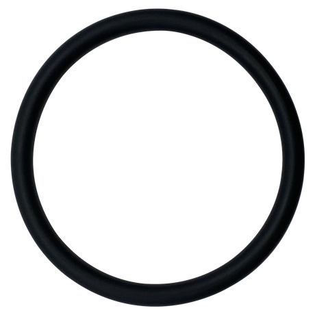 Black rubber chlorinator O-ring seal on a light background