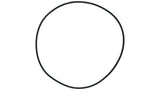 Polaris Seal Plate O-ring - Quiet Pump | P185