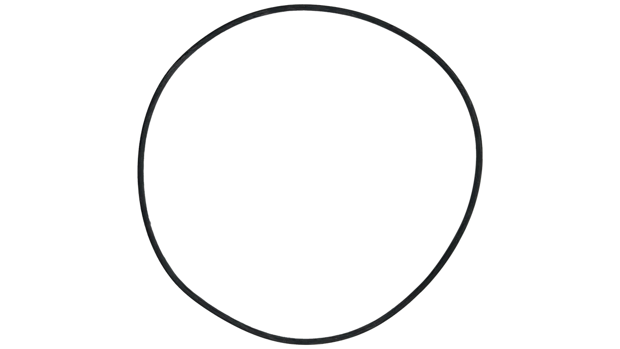 Polaris Seal Plate O-ring - Quiet Pump | P185