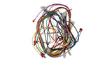 Pentair Domestic Wire Harness with FC Assembly | 461107