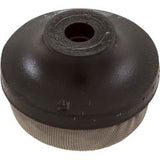 Pentair 1-1/4" Star Polymeric Air Relief Strainer | 191329