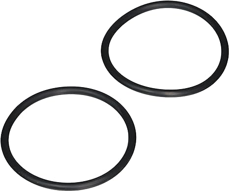 Jandy VS FloPro 1.85 HP VS Pump Tailpiece O-Ring (2)