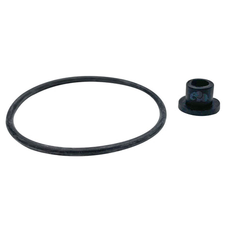 Black O-ring and manifold fitting for Jandy CV Series cartridge filter assembly