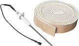 Jandy LXi Low NOx Flame Sense Rod || R0458600