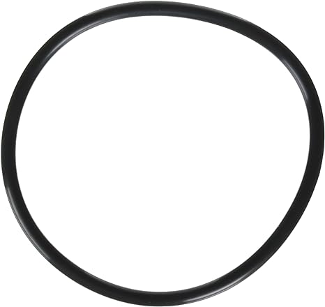 Jandy VS FloPro 1.85 HP VS Pump Lid O-Ring