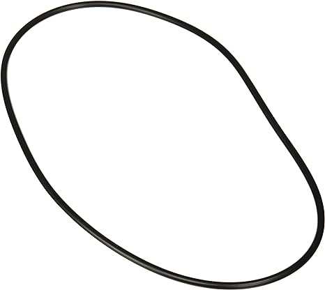 Jandy VS FloPro 1.85 HP VS Pump Backplate O-Ring