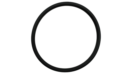 Black rubber O-ring for Jandy AquaPure Ei lock ring, shown on a white background