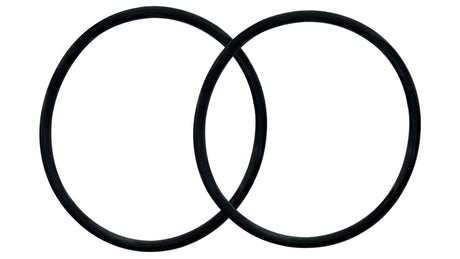 Two black rubber O-rings for Jandy TruClear salt chlorinator housing replacement