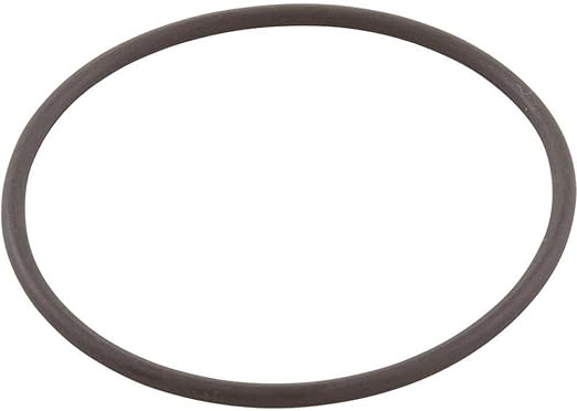 Jandy CV Series Cartridge Filter Outlet Tube O-Ring, Filter