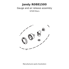 Jandy Gauge and Air Release Assembly Kit for SFSM | R0881500