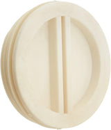 Pentair Winterizing Plug (2in. pipe thread) Polyyurethane || R22011