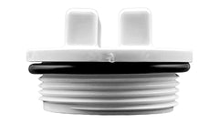 Hayward Plug with O-Ring, Threaded 1-1/2