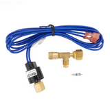 HAYWARD Replacement Lp Switch | HPX11024259