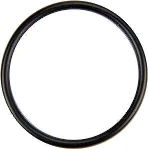 Pentair PLM Filter System O-Ring, Union (JWP) || U9-226Z