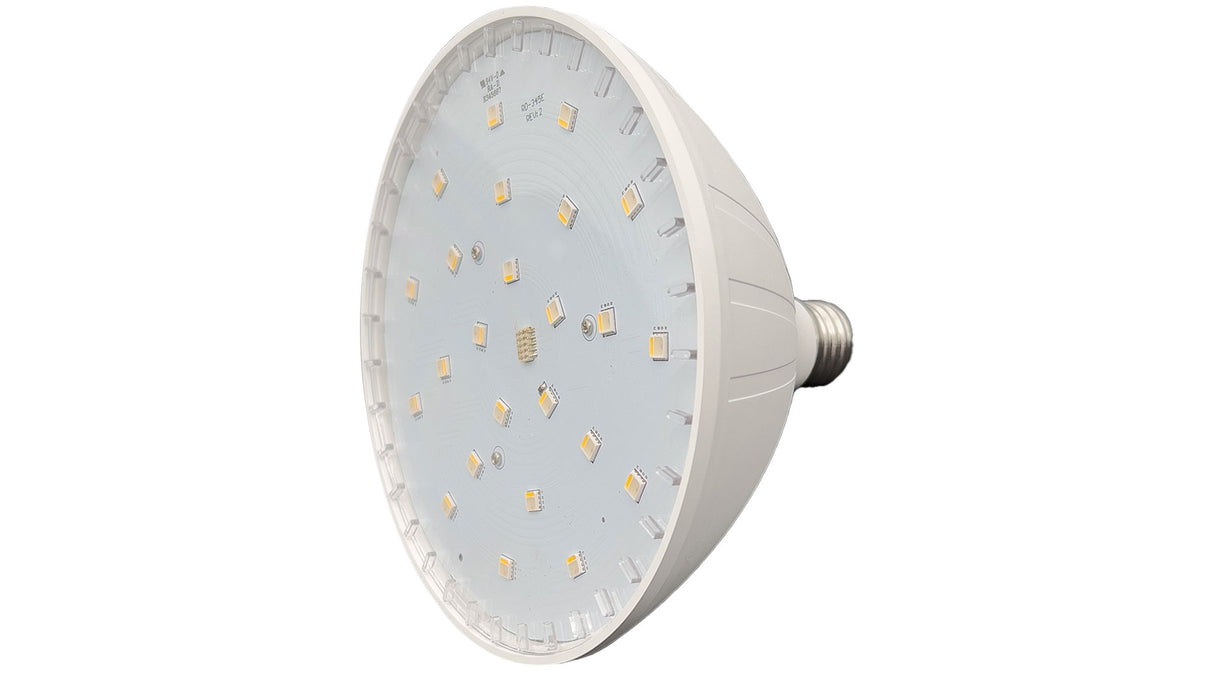 BLUE SQUARE Vivid 360™ Multicolor LED Pool Bulb 35W 120V | VLB3501-MC