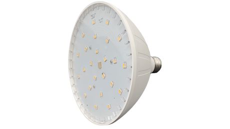 Front view of a white round LED pool bulb with exposed diode board and screw base