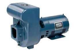 Pentair Sta-Rite D Series 5HP Commercial Pump | DMJ3-172