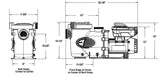 Jandy ePump Variable-Speed Pool Pump 3.8HP 230V | VSSHP3802A