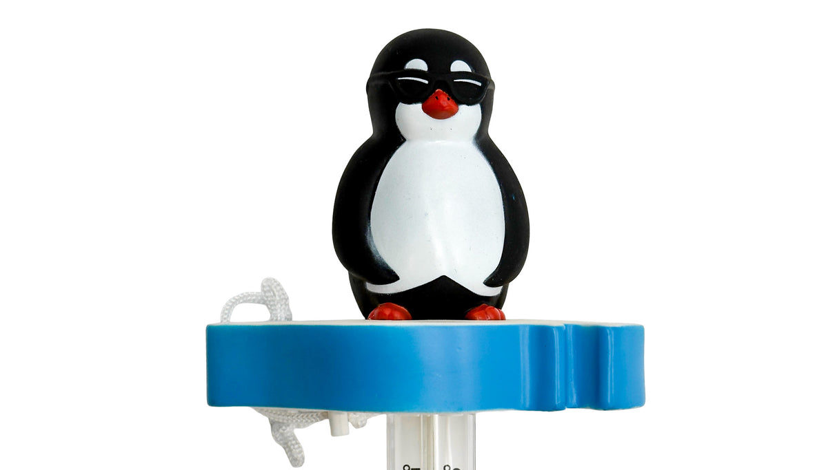 Oreq Chillin Charlie Pool/Spa Thermometer | TH600DB