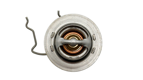 Pentair thermal regulator with spring clip replacement part, top view on white background