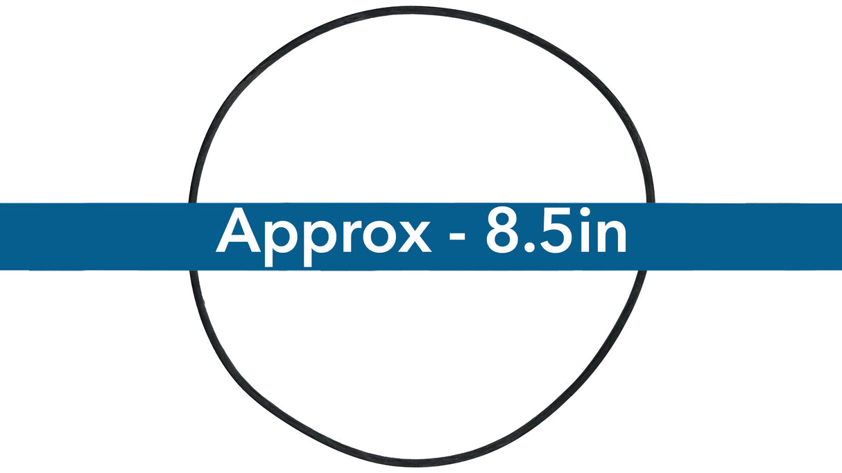 Polaris Seal Plate O-ring - Quiet Pump | P185