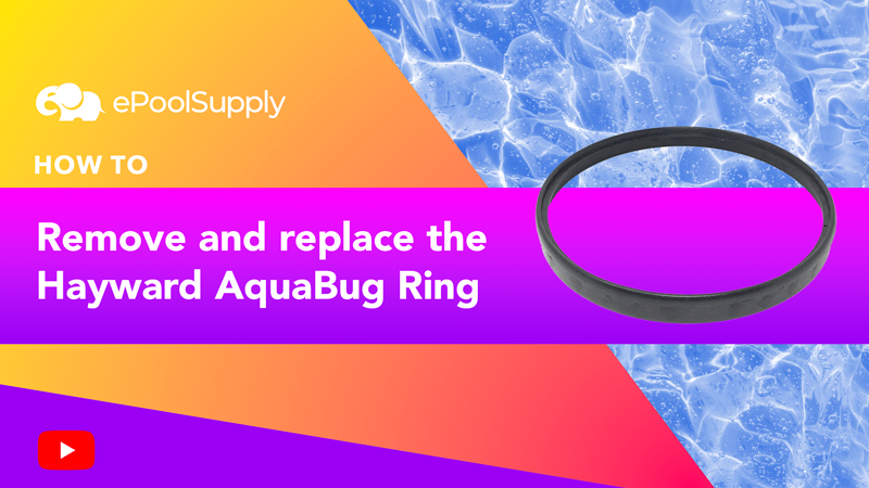 Hayward AquaBug/Penguin/Wanda the Whale/Diver Dave Ring | AXV458