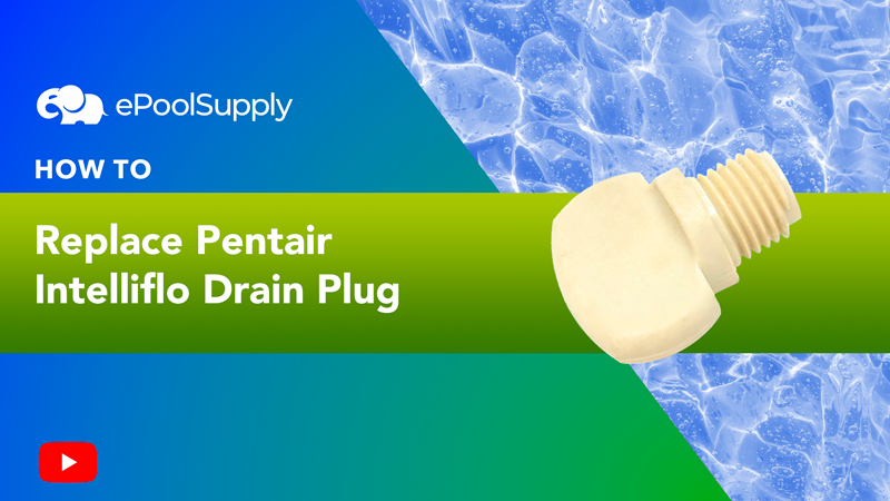 Pentair 3/8" Drain Plug Knob | 071131Z