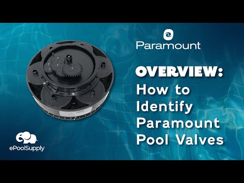 Paramount Complete 2-Port 4-Gear 2" Water Valve (Black) | 004-302-4154-03