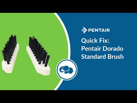 Pentair Dorado Suction Side Cleaner