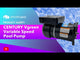 CENTURY Vgreen Variable Speed Pool Pump 48Y TEFC Motor 1.3HP 115/230V 1 Ph 50Hz || EVQ130