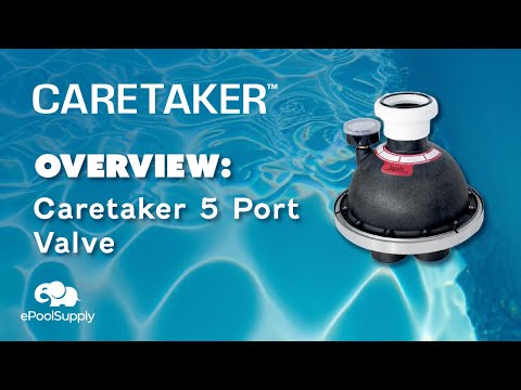 Caretaker 5-Port Pool Cleaning Valve Center Plate (Black) | 1-9-214