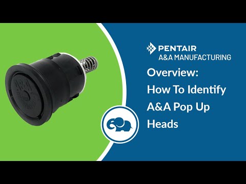 Style 1 High Flow Pop Up Head (White) - Pentair In-Floor(A&A)