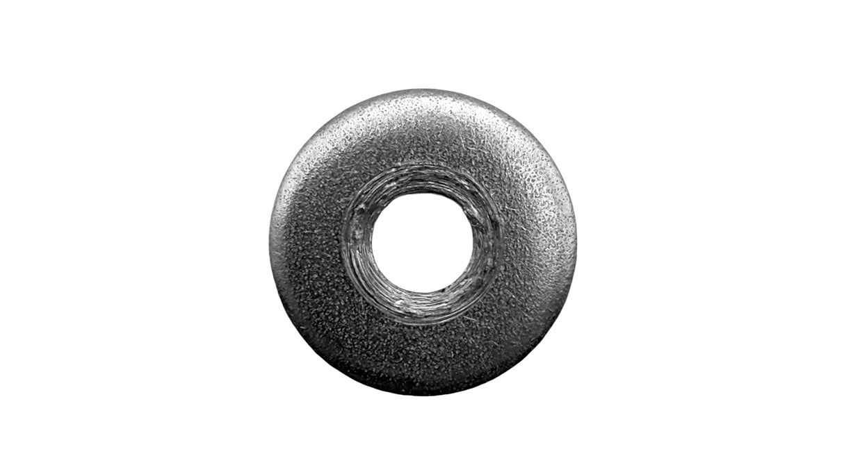 Pentair Stainless Steel Small Diameter Washer
