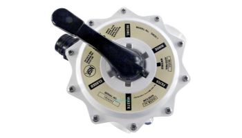 Waterway multi-port valve with black handle and union connections, 2-inch socket mount