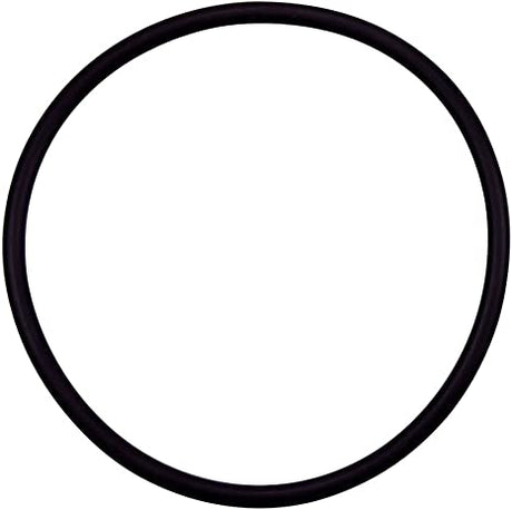 Black round Pentair diffuser O-ring gasket