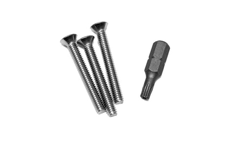 Four stainless steel screws and a black driver bit on a white background