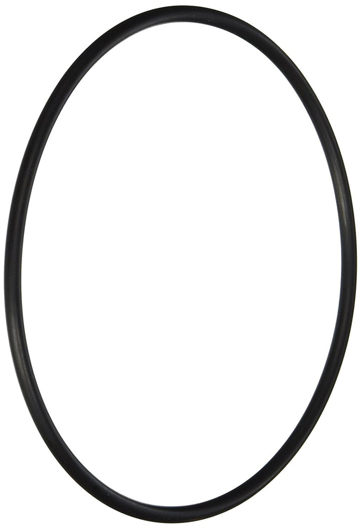 Front View - Hayward Leaf Canister O-Ring - ePoolSupply