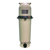 Pentair Clean & Clear Cartridge Filter 200