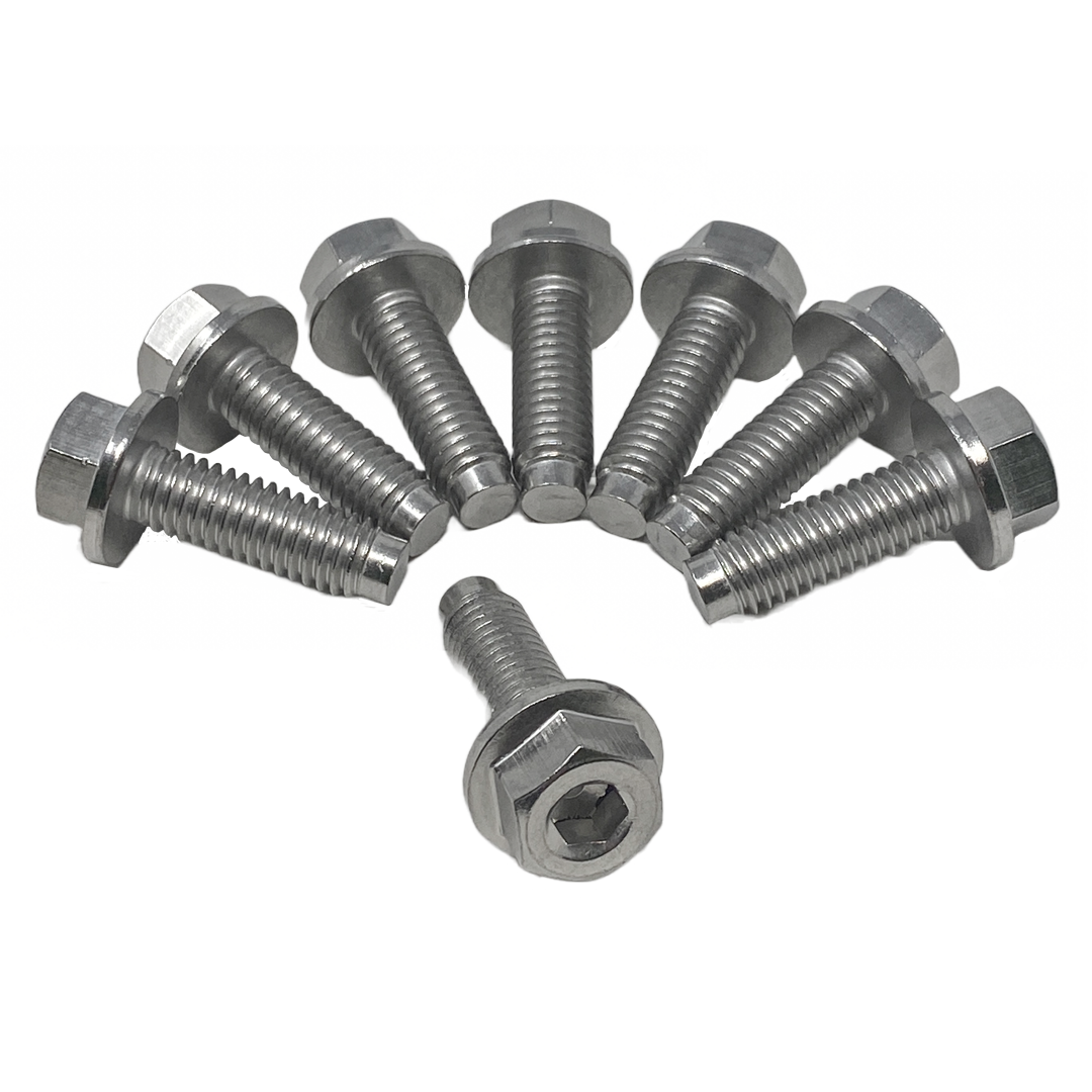 Pentair Seal Plate-to-Strainer Pot Bolts (8 Pack)